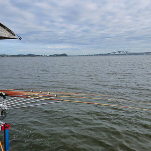 원다 테크노스 스페셜 붕어