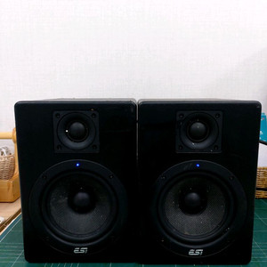 ESI Aktiv 05 모니터 스피커
