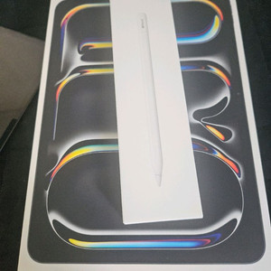 아이패드 프로 11 M5 256 애플펜슬