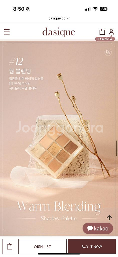 데이지크 12 웜 블렌딩 섀도우 팔레트--0