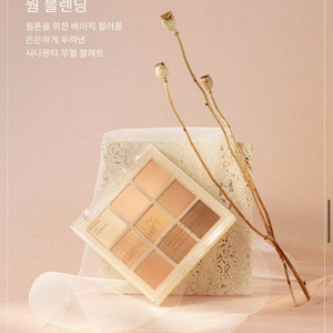 데이지크 12 웜 블렌딩 섀도우 팔레트