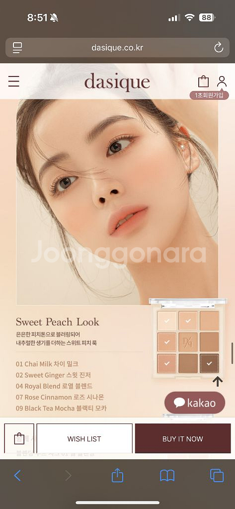 데이지크 12 웜 블렌딩 섀도우 팔레트--4