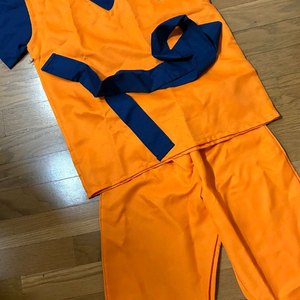 드레골볼 닌자거북 코스튬