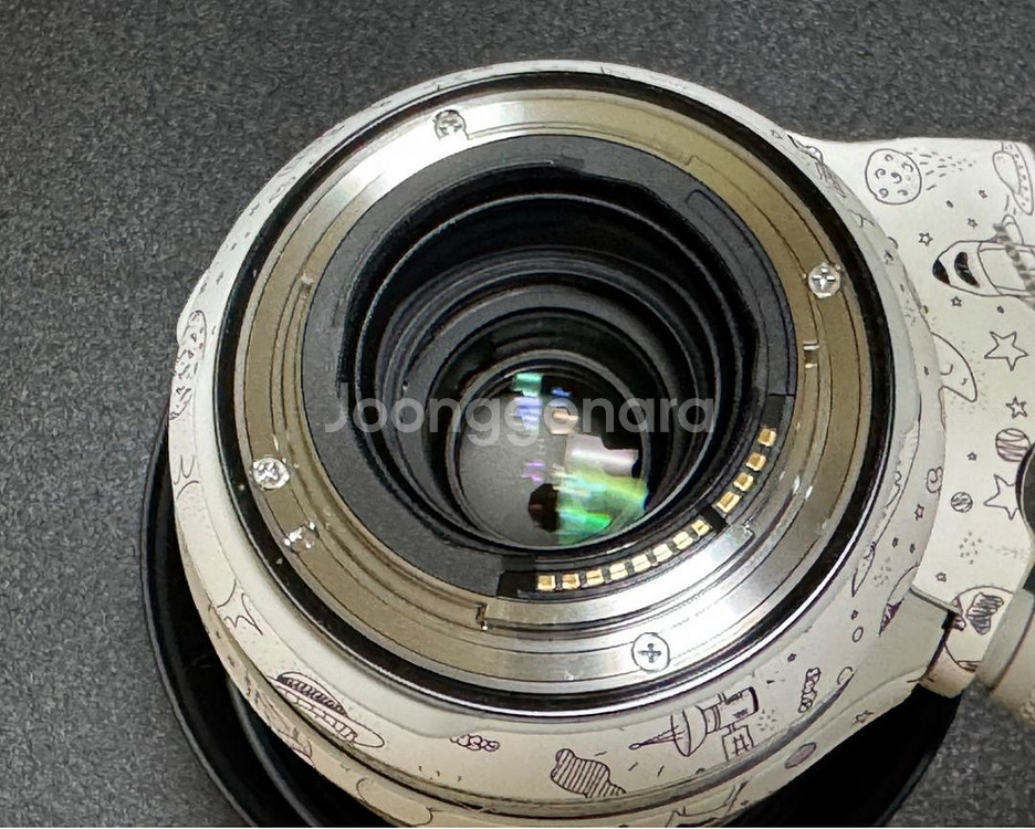 Canon RF 70-200mm F2.8 IS USM L Lens--4