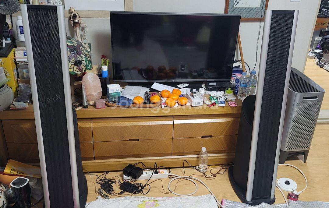 정전기 라우드 스피커 Final 0.3 하이브리드 네덜--6