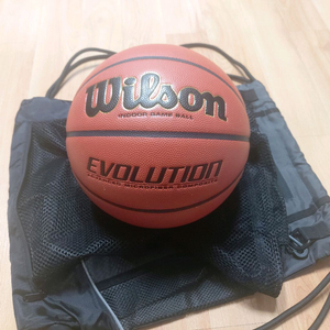윌슨 에볼루션 농구공