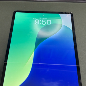 아이패드 프로 4세대 12.9 셀룰러