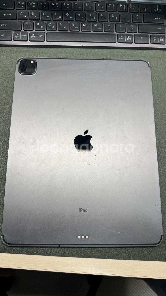 아이패드 프로 4세대 12.9 셀룰러--5