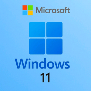 윈도우11 / 윈도우10 홈 프로 정품키 오피스2021