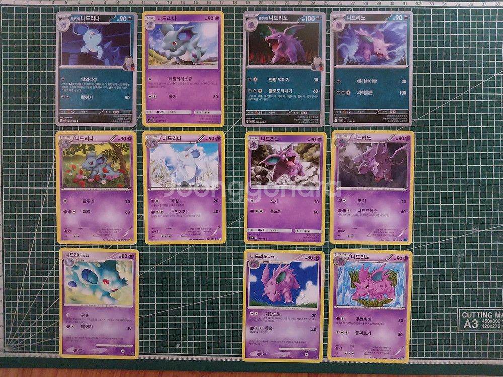 포켓몬카드 니드리나, 니드리노 일반카드 11종 일괄--0