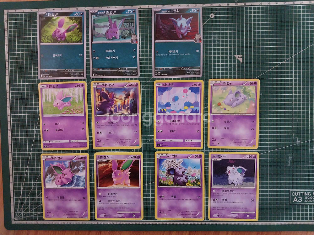 포켓몬카드 니드런 일반카드 11종 일괄--0