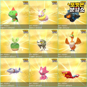 이로치 포켓몬 분양 / 소드 실드 / 닌텐도 스위치