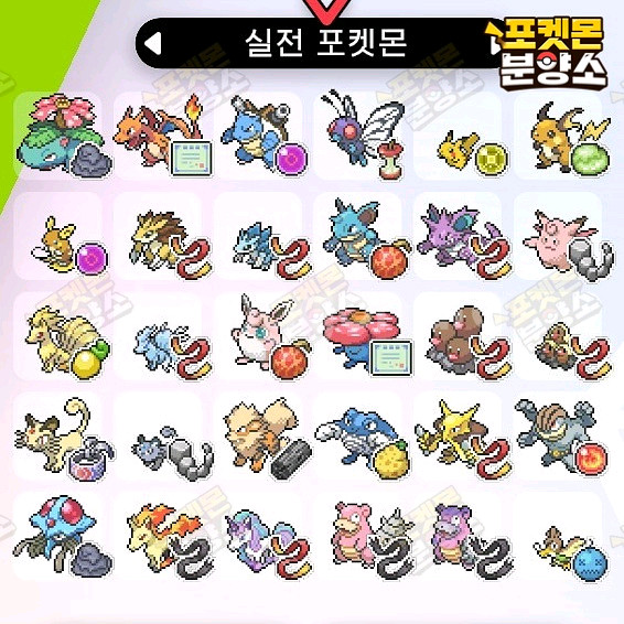 실전 샘플 포켓몬 분양 / 소드 실드 / 닌텐도 스위치--0