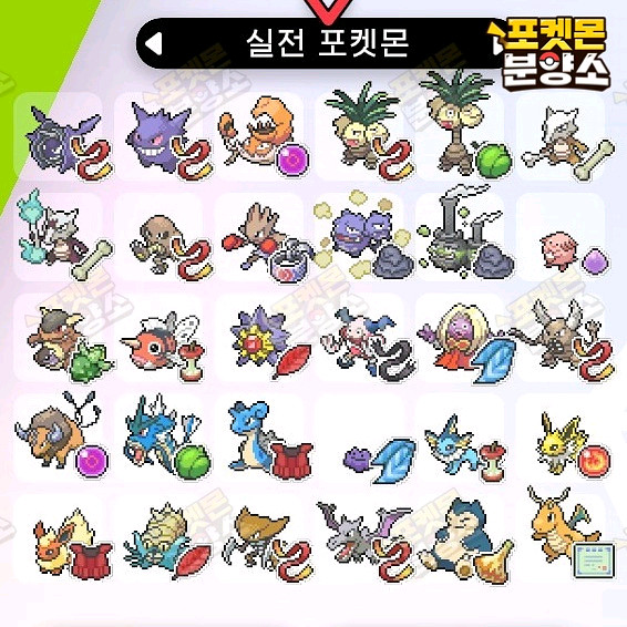 실전 샘플 포켓몬 분양 / 소드 실드 / 닌텐도 스위치--1