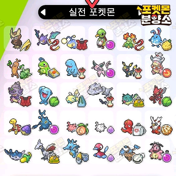 실전 샘플 포켓몬 분양 / 소드 실드 / 닌텐도 스위치--2