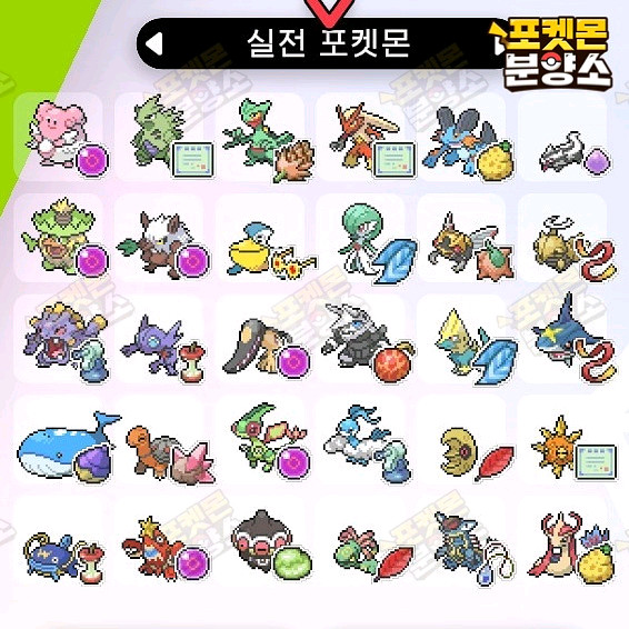 실전 샘플 포켓몬 분양 / 소드 실드 / 닌텐도 스위치--3
