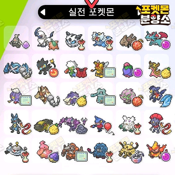 실전 샘플 포켓몬 분양 / 소드 실드 / 닌텐도 스위치--4