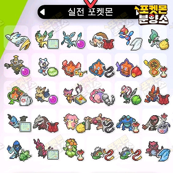 실전 샘플 포켓몬 분양 / 소드 실드 / 닌텐도 스위치--5