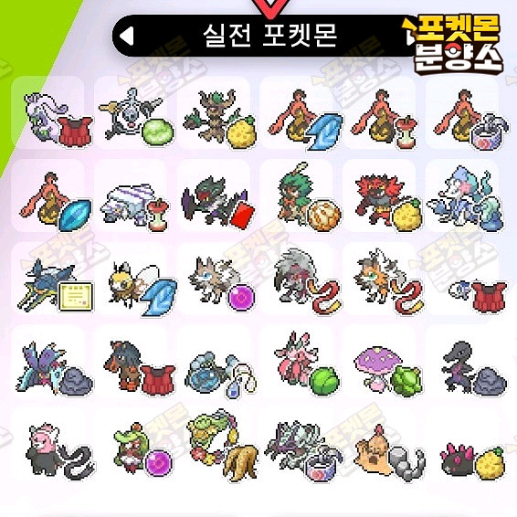 실전 샘플 포켓몬 분양 / 소드 실드 / 닌텐도 스위치--8