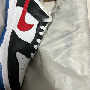 나이키 덩크 로우 SE 서울 255