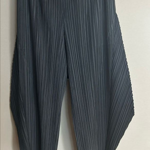 플리츠플리즈 바지 2사이즈