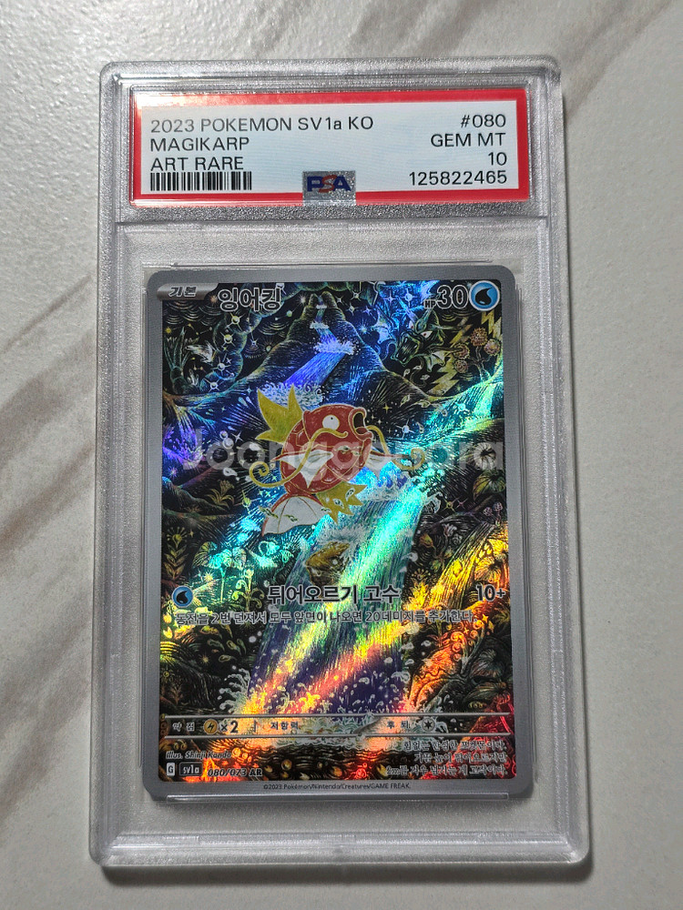 포켓몬카드 잉어킹 AR PSA10 팝니다--0