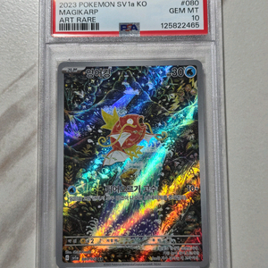 포켓몬카드 잉어킹 AR PSA10 팝니다