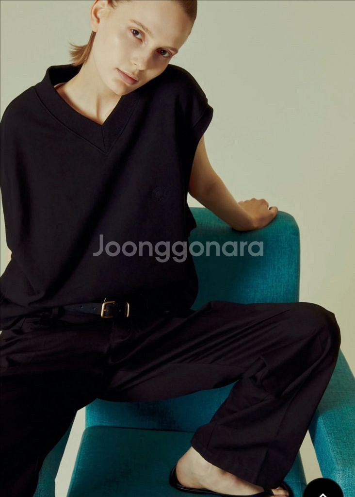 [S] 노앙 로고 브이넥 스웻 베스트--0