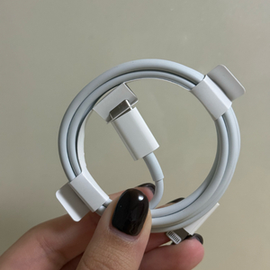 [아이폰 정품] 아이폰 충전 케이블 Lightning-C타입
