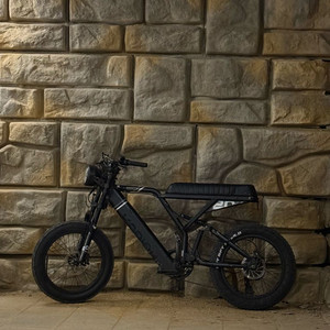 알톤 코디악 20FAT 자토바이