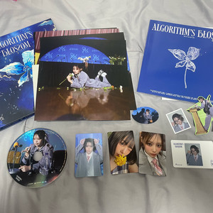 QWER 알고리즘 블라썸 앨범 시연 모음