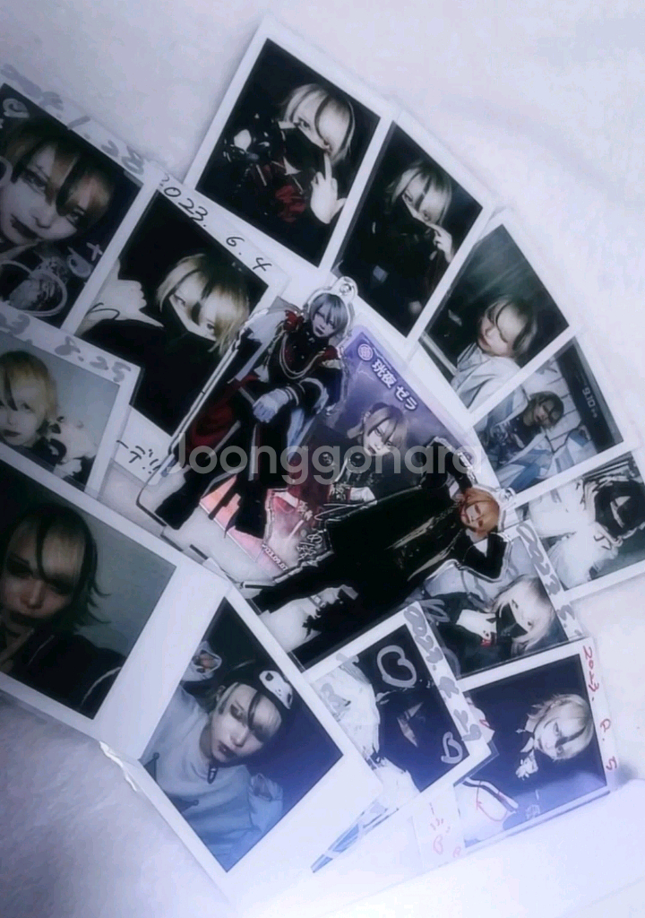 마큐로 코우야 제라 체키 아크스타 지하돌 지하아이돌 본토돌--0