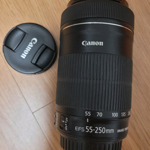 캐논 EF-S 55-250mm IS STM 렌즈