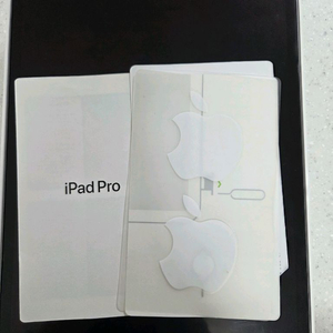 아이패드 프로 12.9 셀룰러