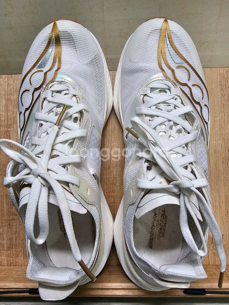 써코니 엔돌핀 엘리트 255mm 팔아요--0