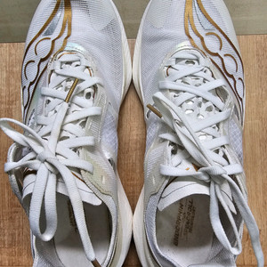 써코니 엔돌핀 엘리트 255mm 팔아요