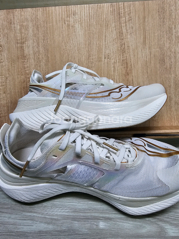 써코니 엔돌핀 엘리트 255mm 팔아요--1