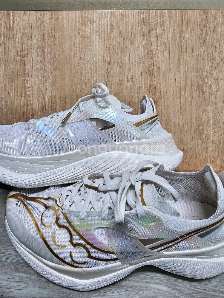 써코니 엔돌핀 엘리트 255mm 팔아요--2