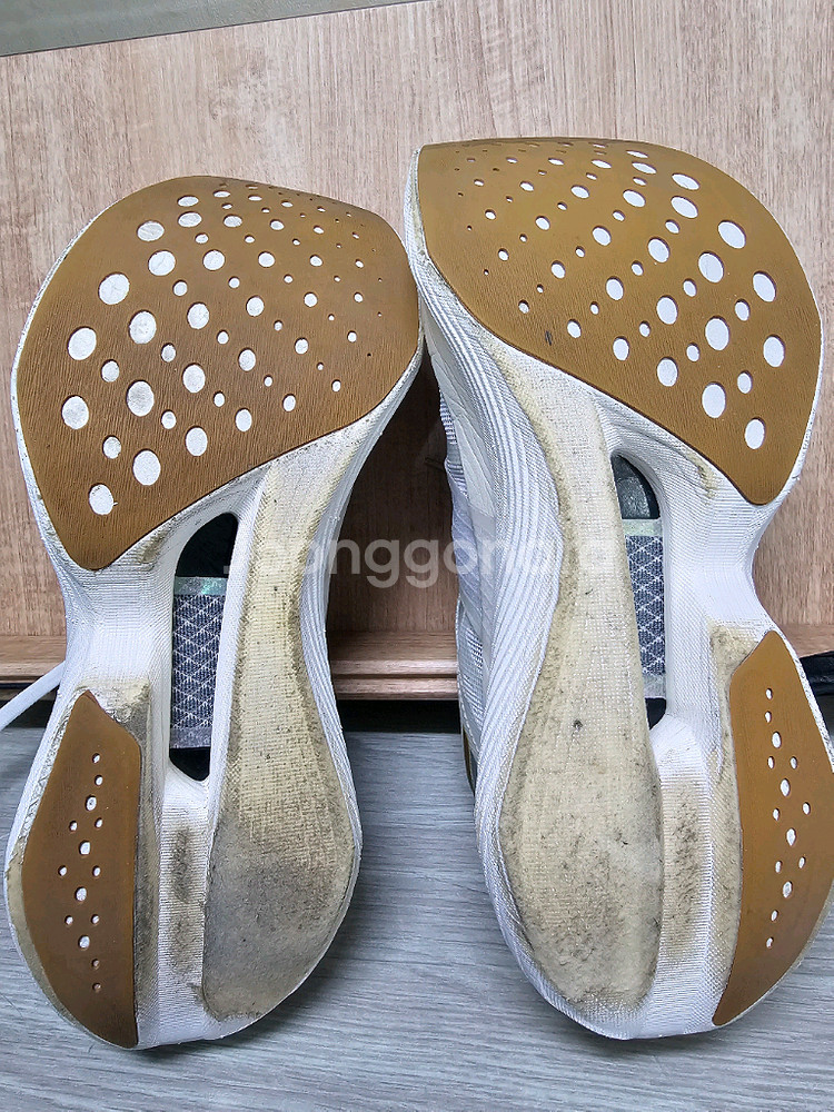 써코니 엔돌핀 엘리트 255mm 팔아요--3