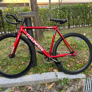 쓰나미 SNM100 레드와인 M사이즈 이미지