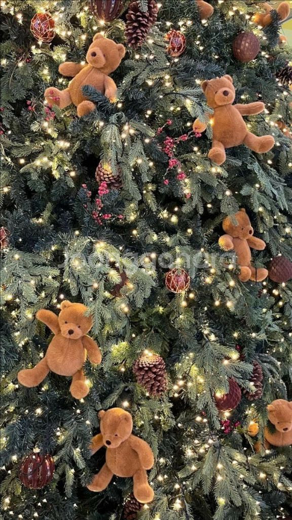 BL소설 소장본 정리 (밀랍인형폭렬학원가 외) 추가중입니다.--0