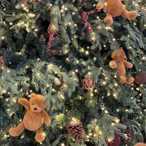 BL소설 소장본 정리 (밀랍인형폭렬학원가 외) 추가중입니다.