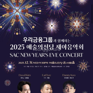 예술의전당 제야음악회, 불꽃 12/31일