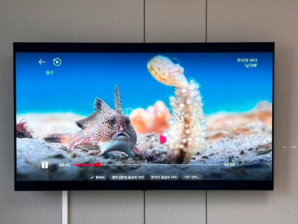 LG OLED65BXFNA 65인치 OLED TV--4