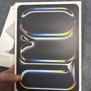 아이패드 프로 11인치 M4 셀룰러 256GB