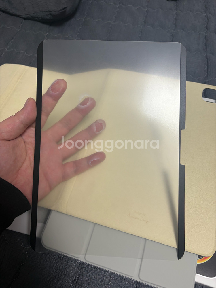 아이패드 프로 11인치 M4 셀룰러 256GB--4