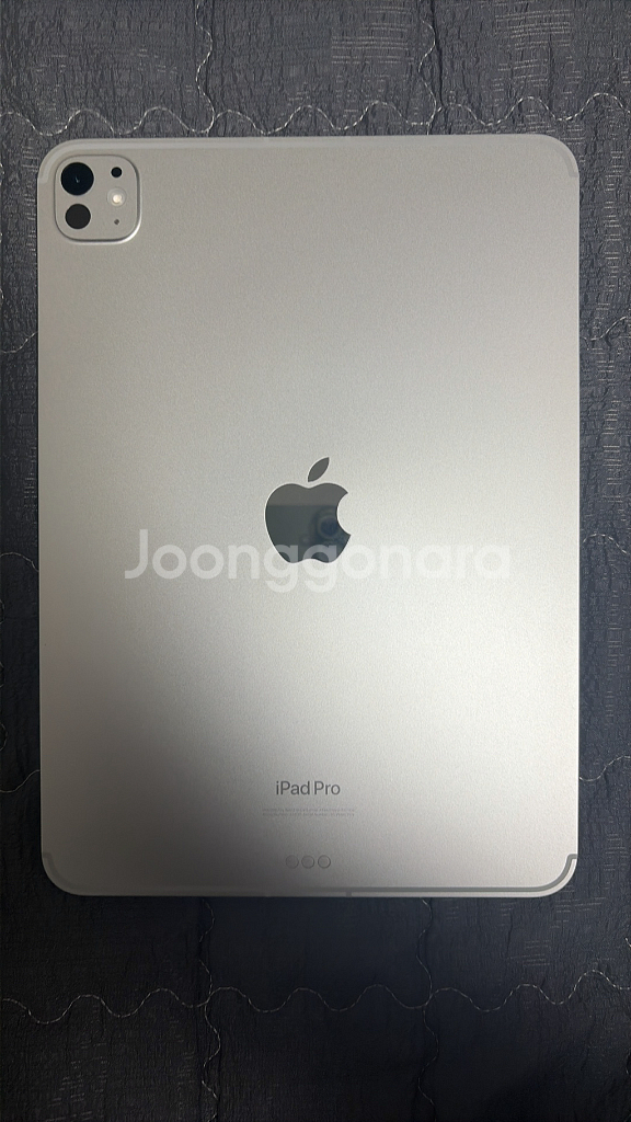 아이패드 프로 11인치 M4 셀룰러 256GB--10