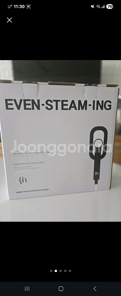 올인원 스팀다리미--1