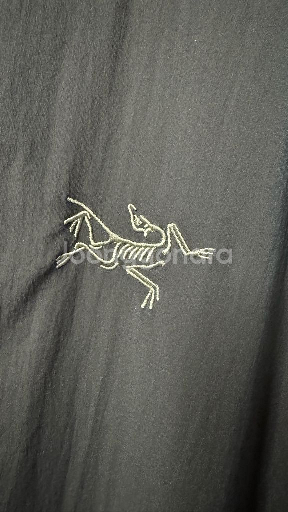 아크테릭스 아톰 SL 후디 자켓--0