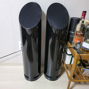 스캔소닉 튜브 스피커(Scansonic Tube Classic)